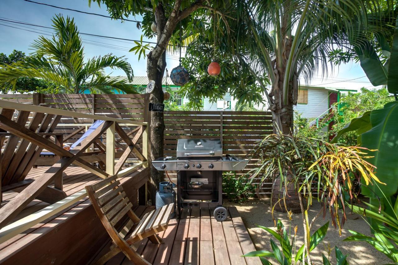 Driftwood Gardens Guesthouse Placencia エクステリア 写真