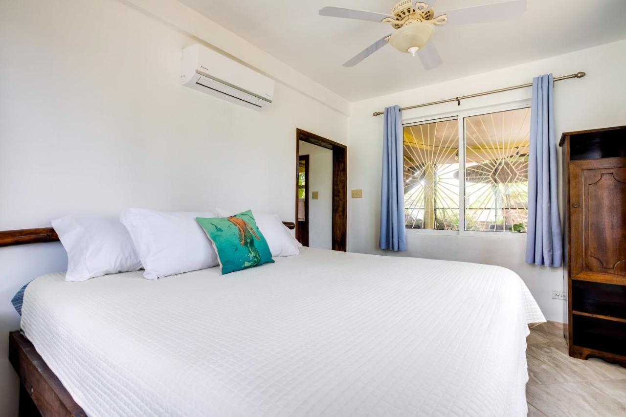 Driftwood Gardens Guesthouse Placencia エクステリア 写真