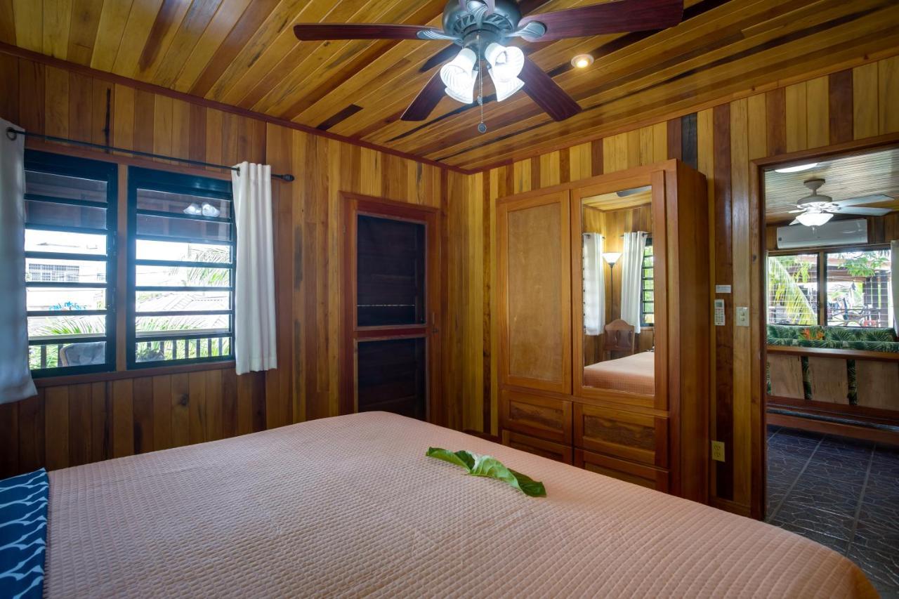 Driftwood Gardens Guesthouse Placencia エクステリア 写真