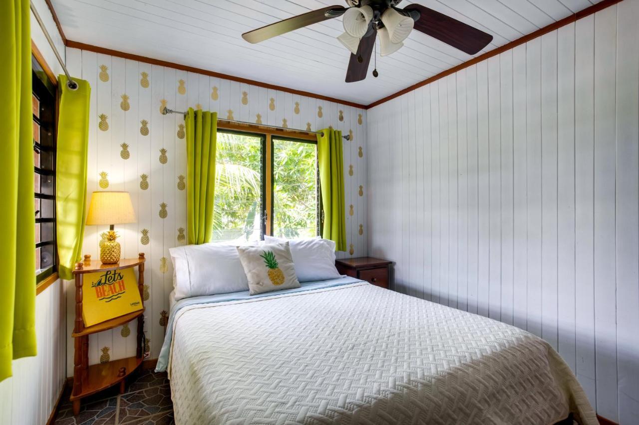 Driftwood Gardens Guesthouse Placencia エクステリア 写真