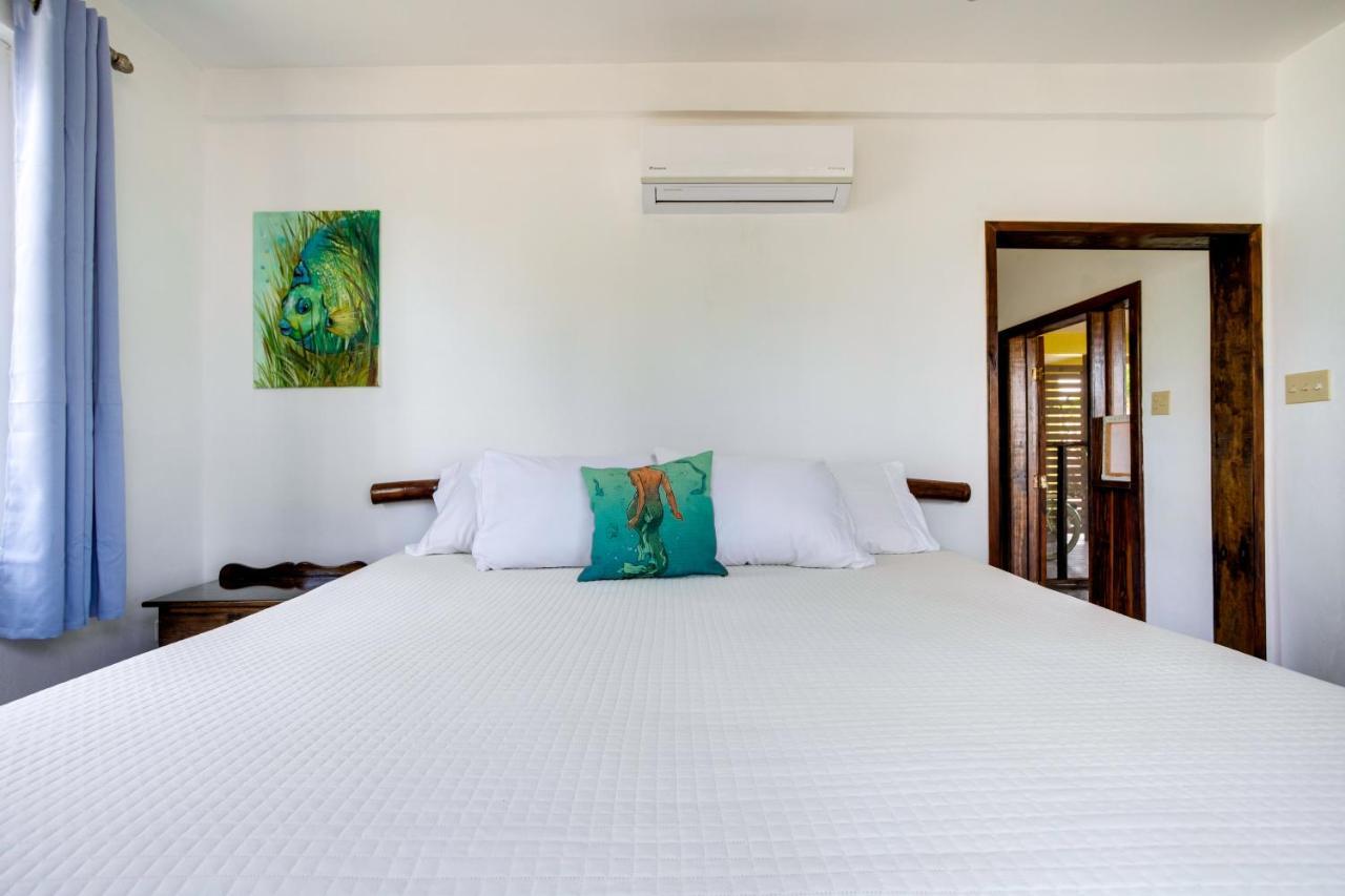 Driftwood Gardens Guesthouse Placencia エクステリア 写真
