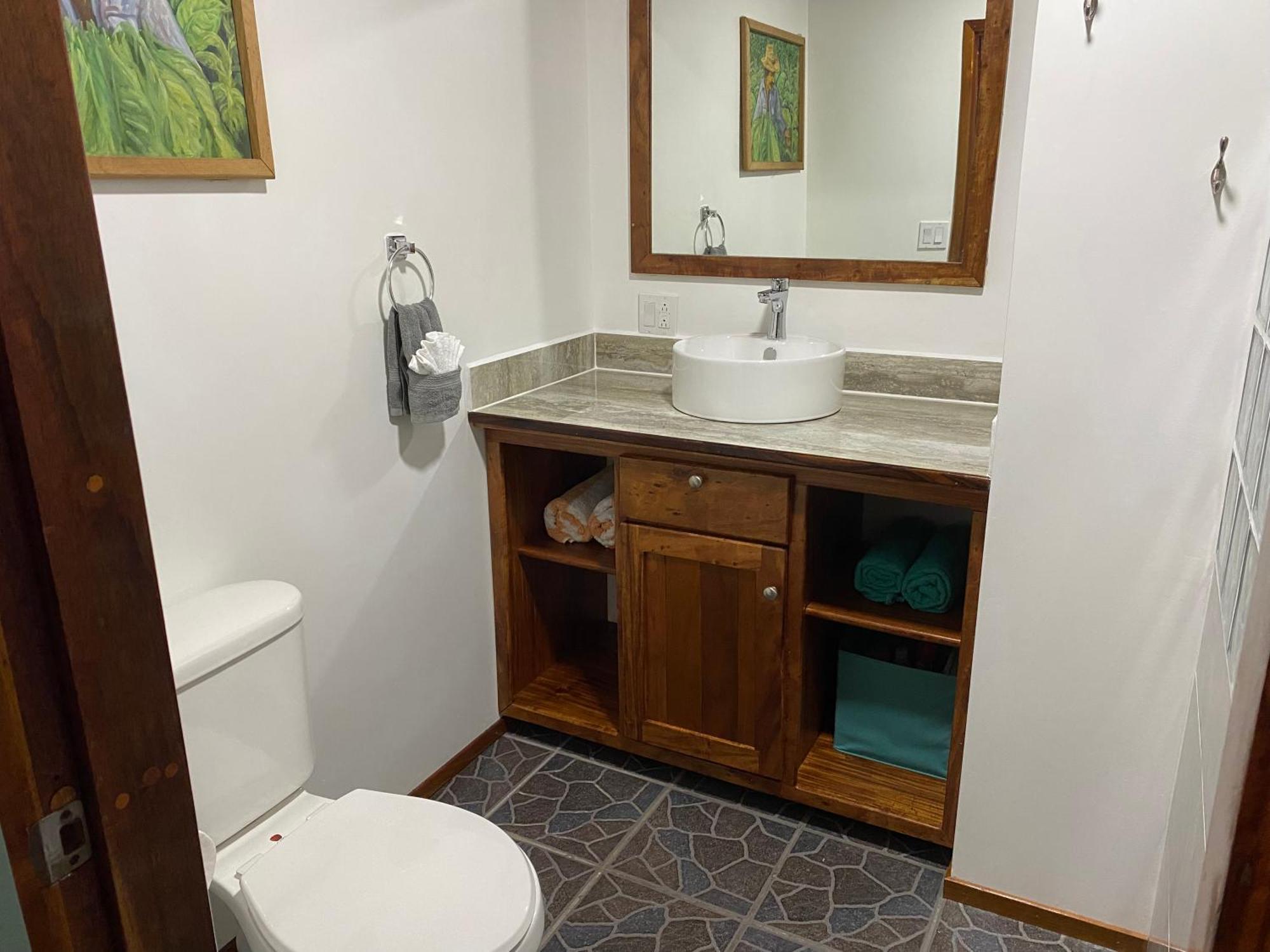 Driftwood Gardens Guesthouse Placencia エクステリア 写真