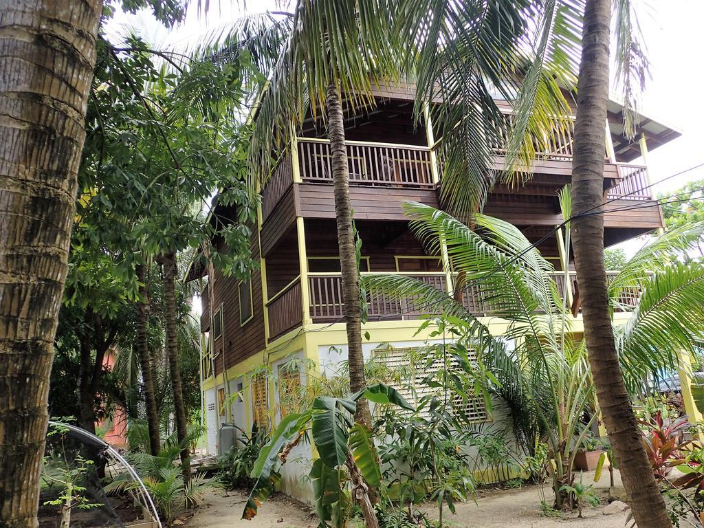 Driftwood Gardens Guesthouse Placencia エクステリア 写真